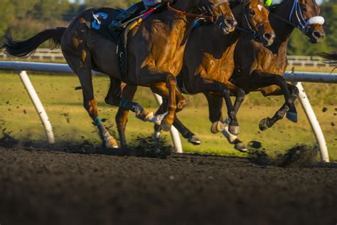 Win & Place bets explained .